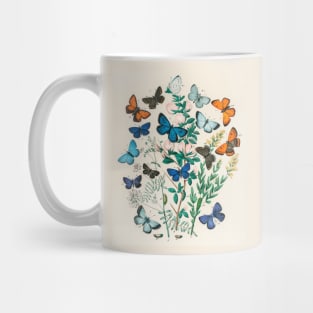 Butterflies and Moths Mug